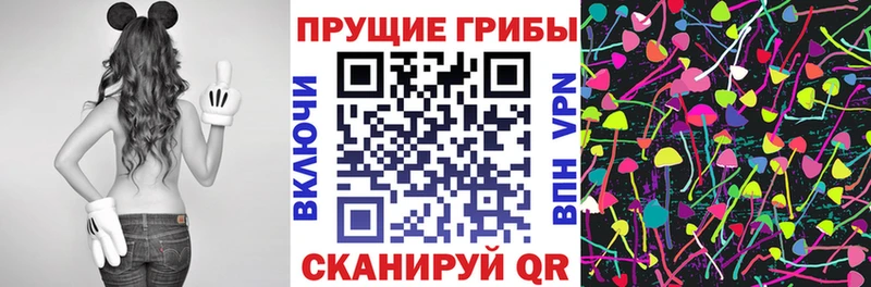Галлюциногенные грибы Cubensis  Струнино 