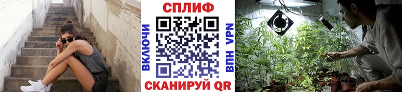 Бошки Шишки марихуана где купить Струнино